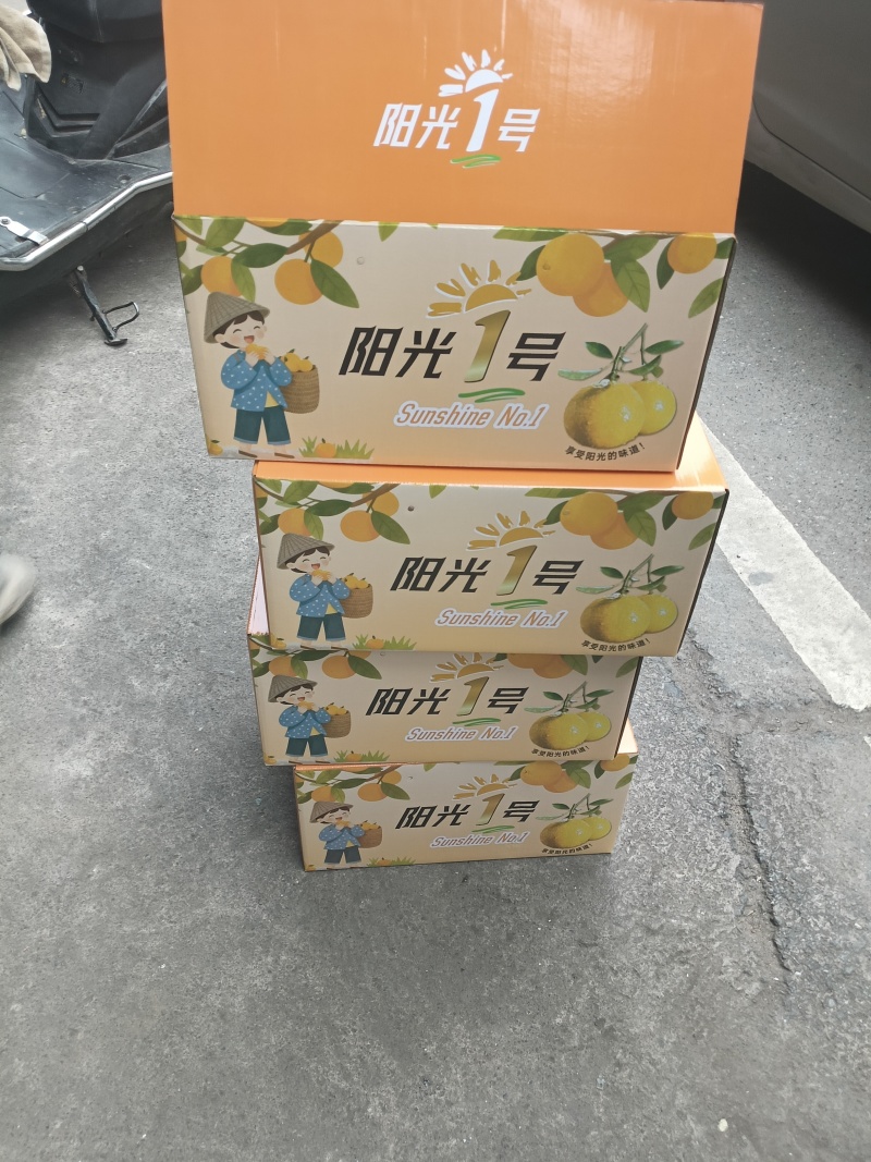 广西桂林兴安县，阳光一号橘子