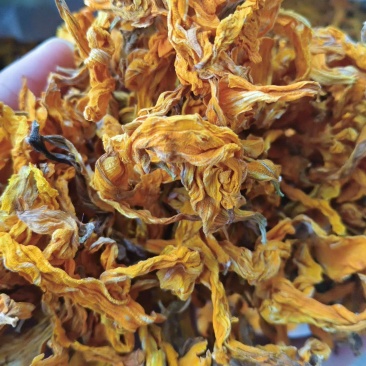 向日葵花干货向日葵花中药材！欢迎选购！量大从优！
