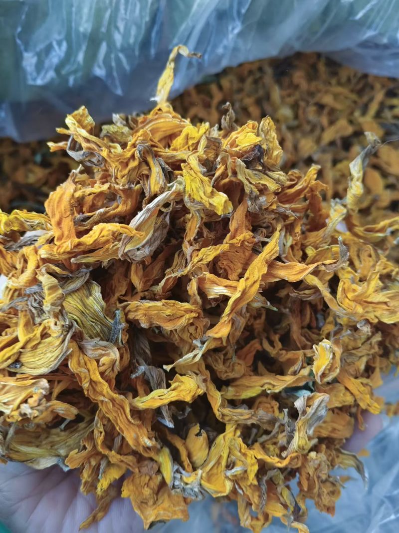 向日葵花干货向日葵花中药材！欢迎选购！量大从优！