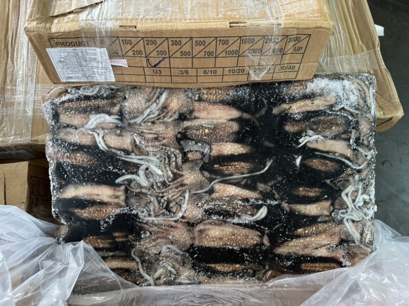花枝墨鱼