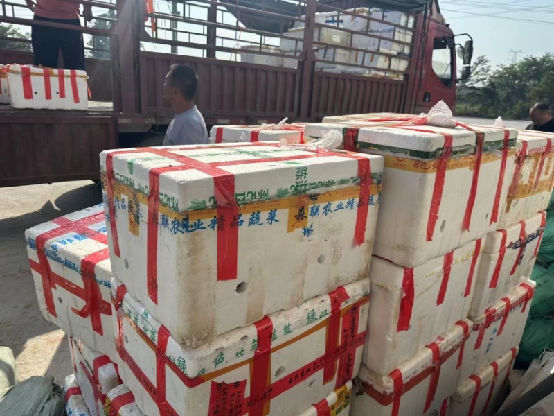 红心芭乐红心番石榴广东基地直发坏果包赔放心咨询