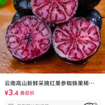 广西红果参