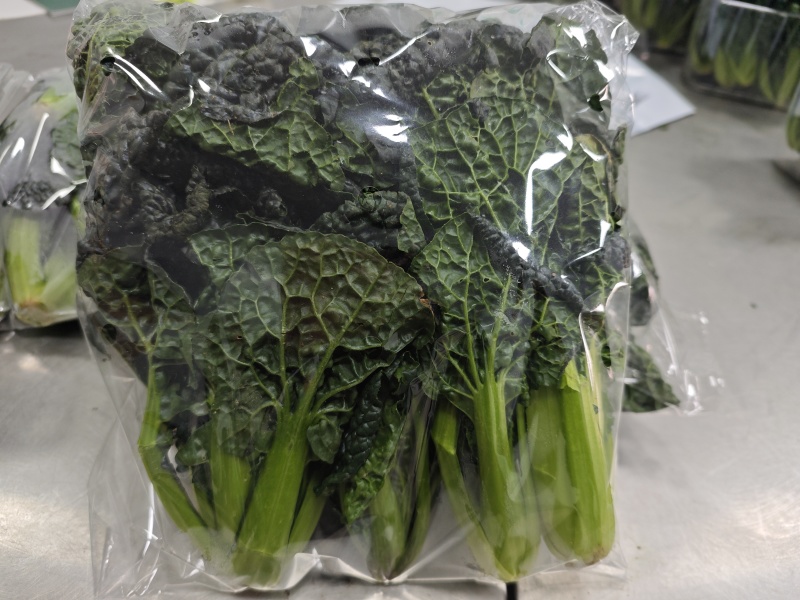 随州特色富硒泡泡青蔬菜