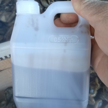 蚝油，纯正蚝油，正宗阳江蚝油。