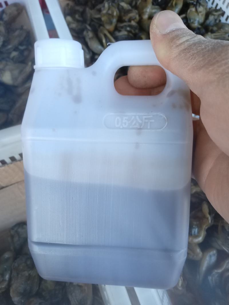 蚝油，纯正蚝油，正宗阳江蚝油。
