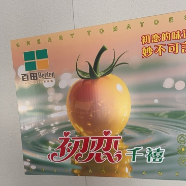 电白千禧圣女果产地代收代发LOGO定制一件代发