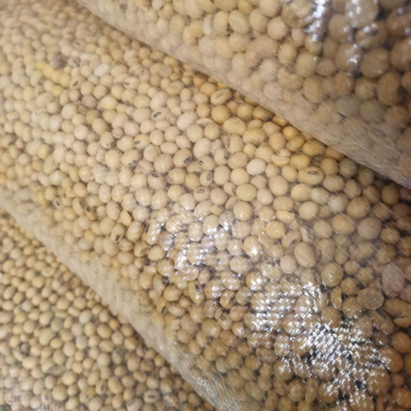 高蛋白大豆黄豆颗粒饱满无坏颗粒无霉变质量保证全国发货