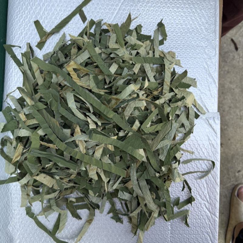 中药材荷叶丝茶荷花叶茶荷叶茶方块泡茶泡水批发零售保质保量