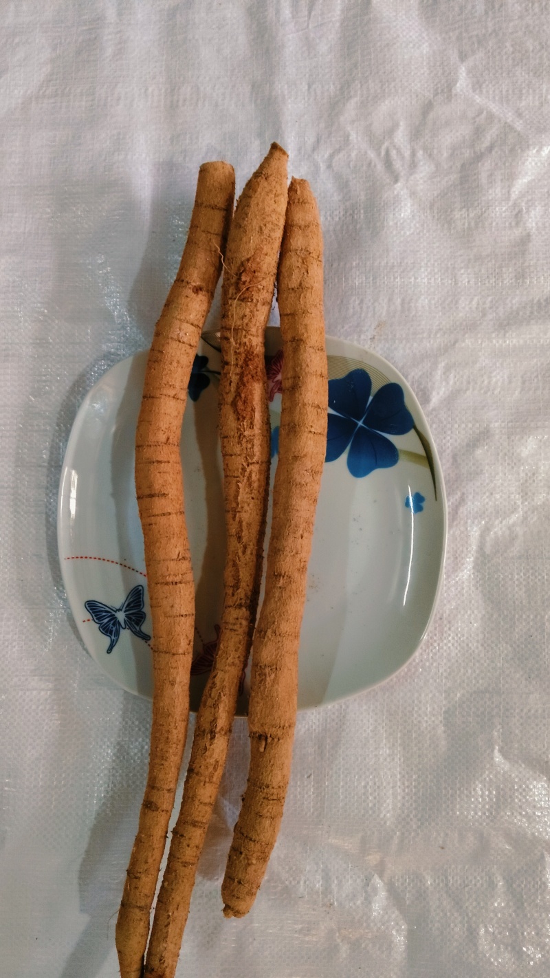 牛大力