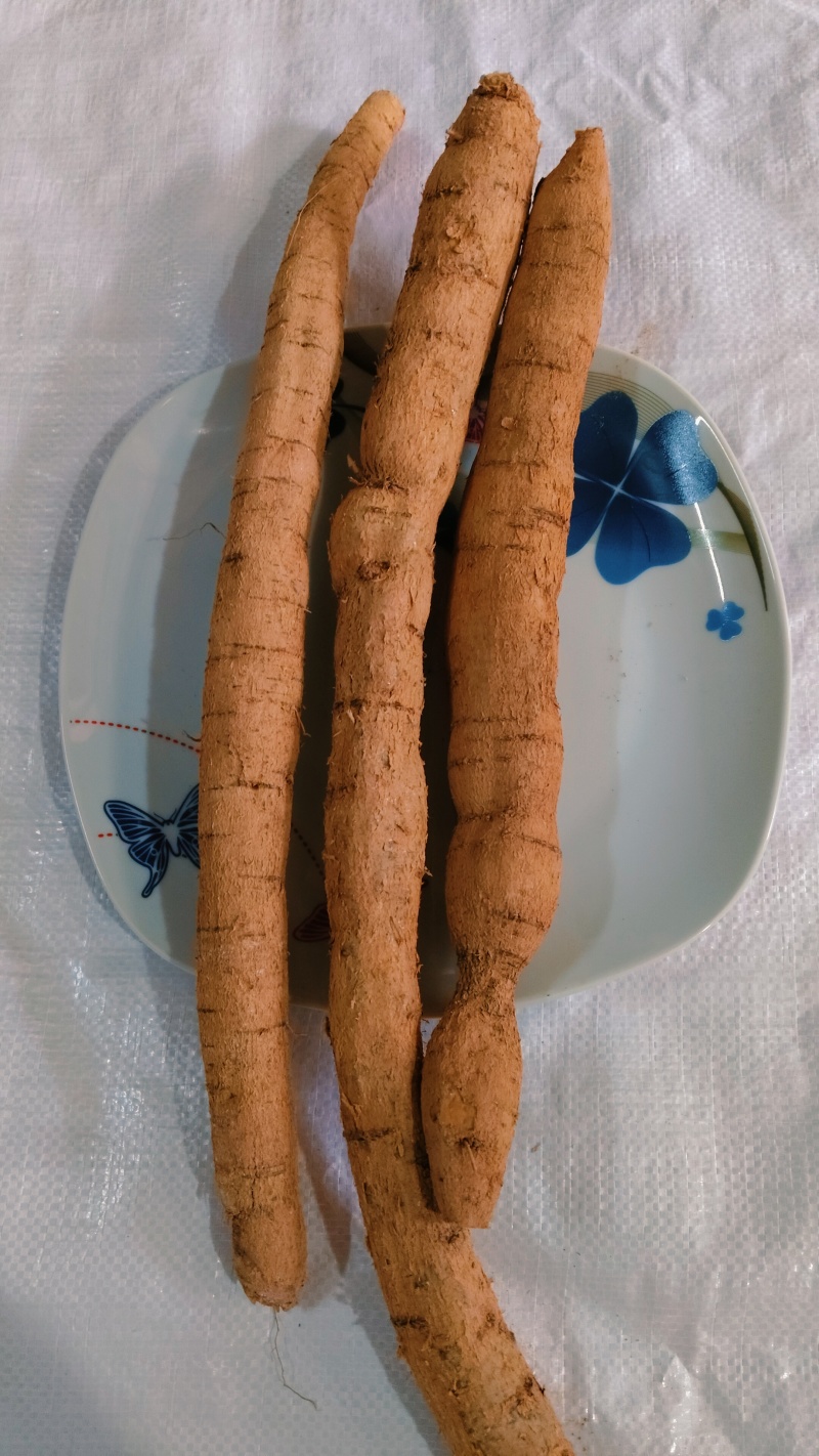 牛大力