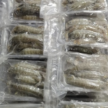 皮皮虾真空包装肉满