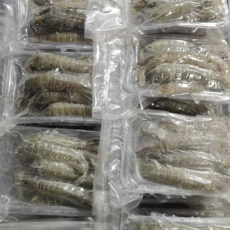 皮皮虾真空包装肉满