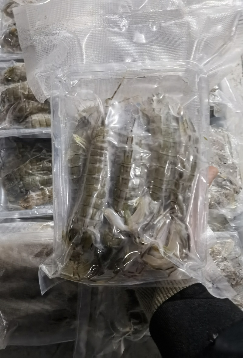 皮皮虾真空包装肉满