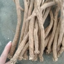 潞党参（正宗潞党参，保证无任何添加剂，假一赔十）
