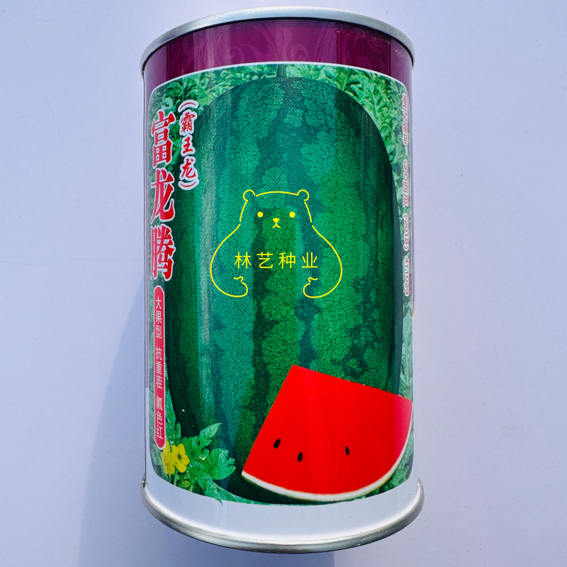 富龙腾霸王龙西瓜种子壤质酥脆耐储运易栽培抗枯萎耐重茬