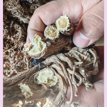 甘肃肉独活规格齐全，量大从优，对接市场批发商可视频看货