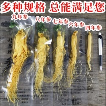 特大保鲜参人参真空包装泡酒参各种规格本链接为大规格参