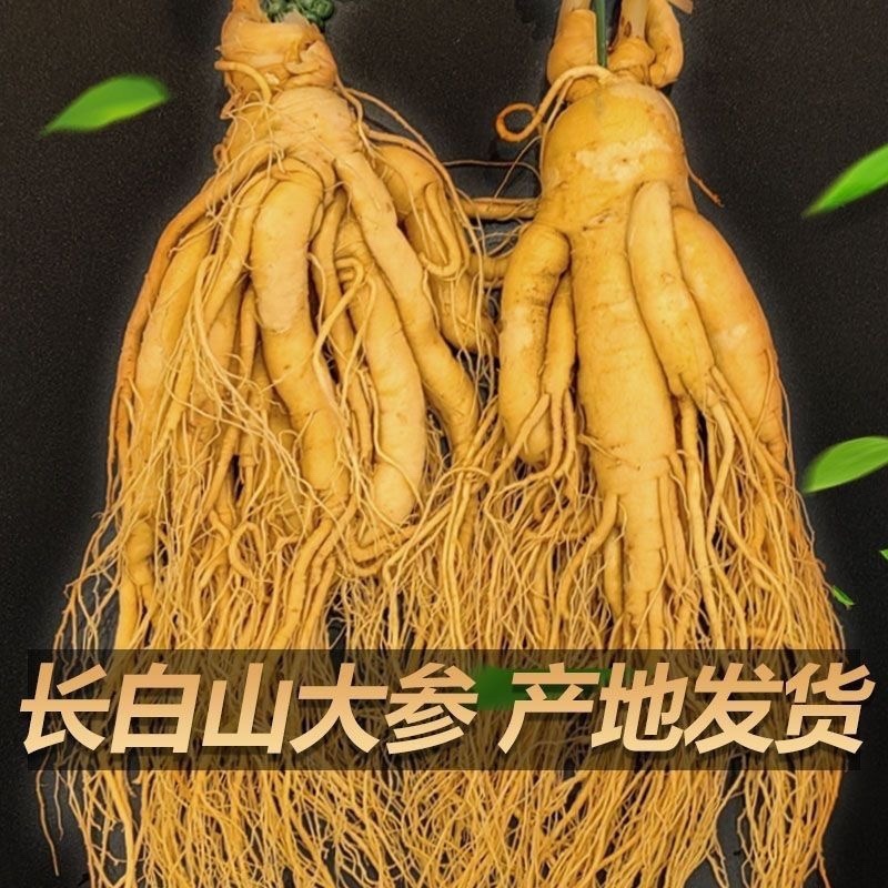 特大保鲜参人参真空包装泡酒参各种规格本链接为大规格参