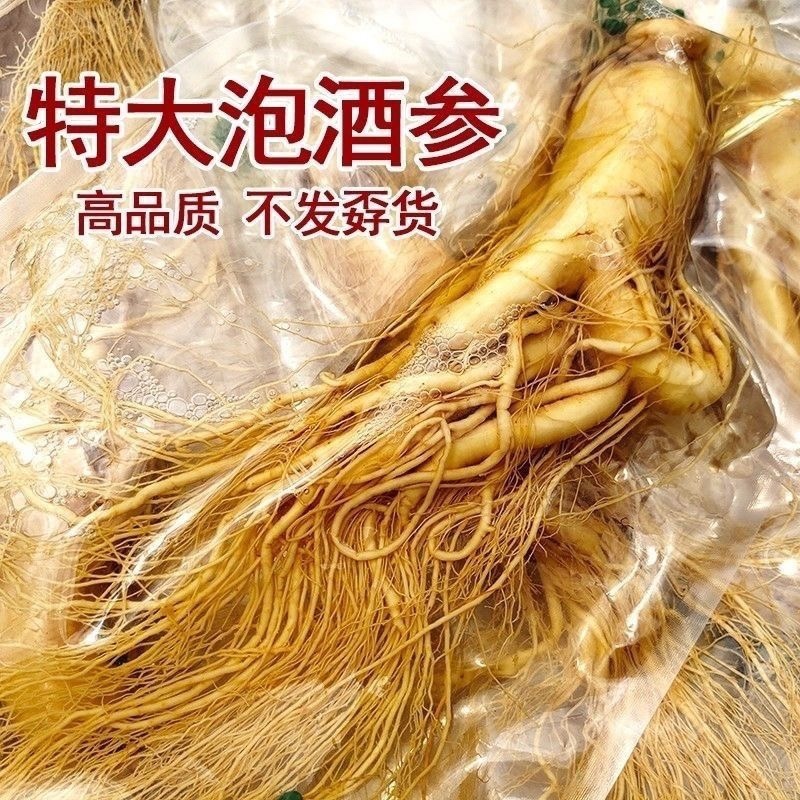 特大保鲜参人参真空包装泡酒参各种规格本链接为大规格参