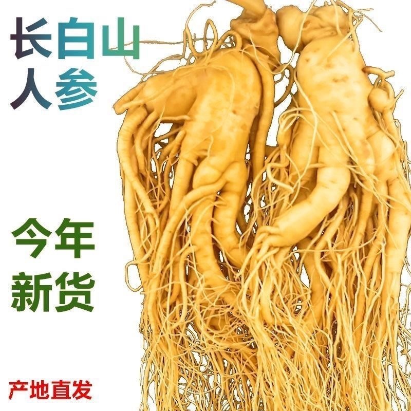 特大保鲜参人参真空包装泡酒参各种规格本链接为大规格参