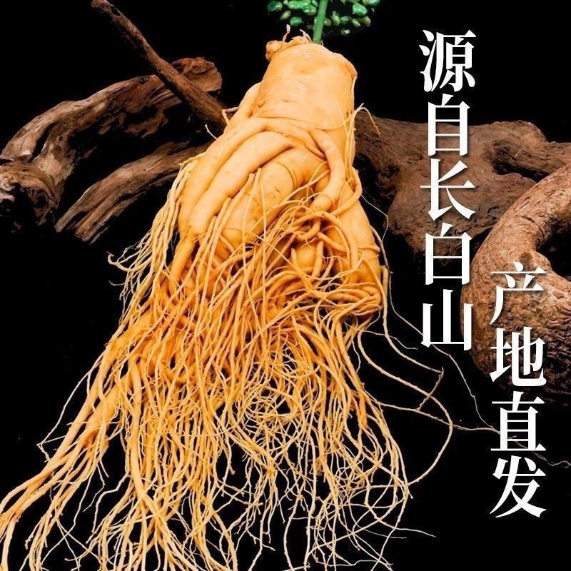 特大保鲜参人参真空包装泡酒参各种规格本链接为大规格参