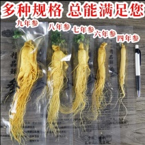 保鲜参长白山人参真空包装泡酒参各种规格本链接为小规格参