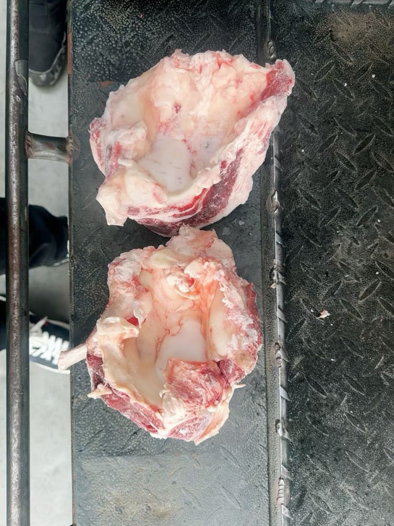 精修去油牛窝骨常年供应一手货源量大价优