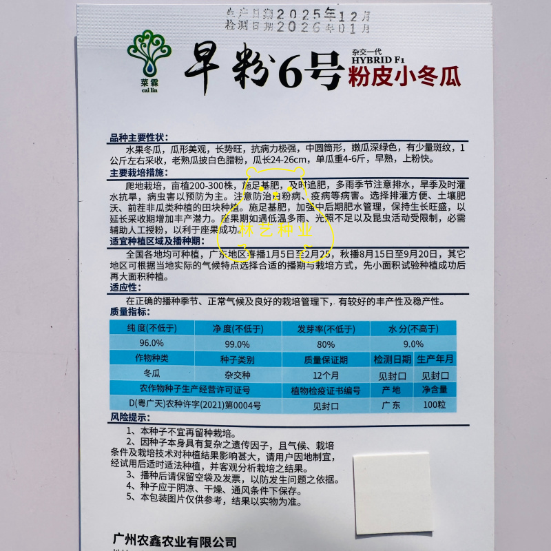 早粉6号粉皮小冬瓜种子杂交一代水果冬瓜抗病能力强