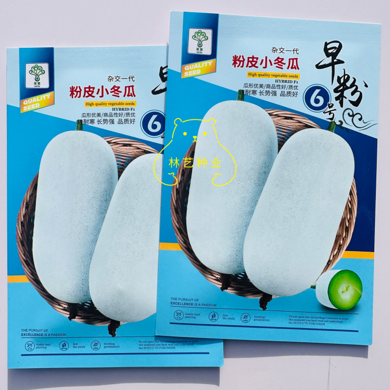 早粉6号粉皮小冬瓜种子杂交一代水果冬瓜抗病能力强