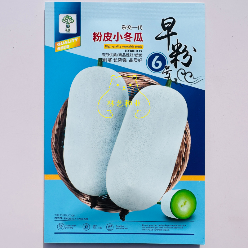 早粉6号粉皮小冬瓜种子杂交一代水果冬瓜抗病能力强