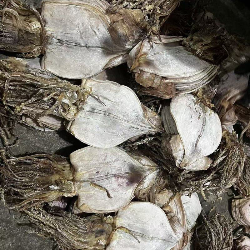 水发鱿鱼干淡干鱿鱼干延边朝鲜族鱿鱼干