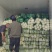 白菜，黄心大白菜