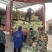 白菜，黄心大白菜