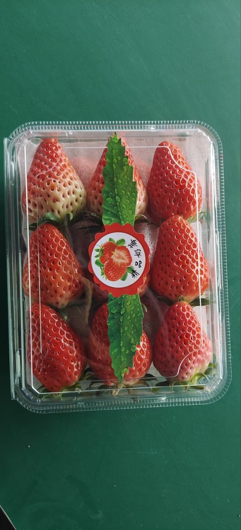 淡雪草莓原产地每天大量发货，保证品质。