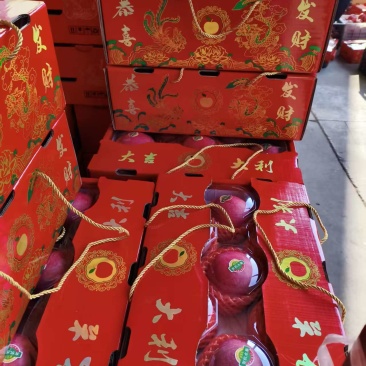 苹果产地批发春节礼盒出口外贸市场批发电商赶大集