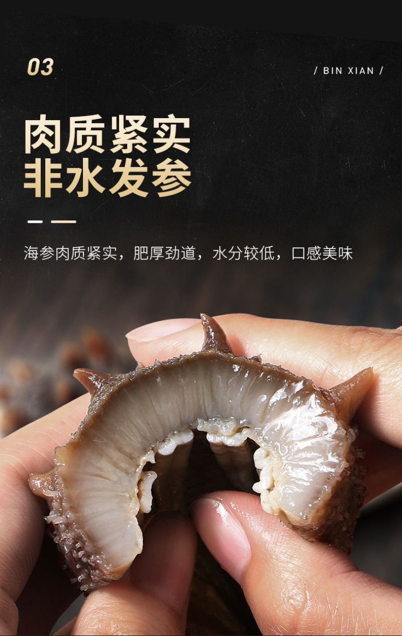 包邮）鲜食海参刺参海底海参新鲜加工单个装即食海参批发商用