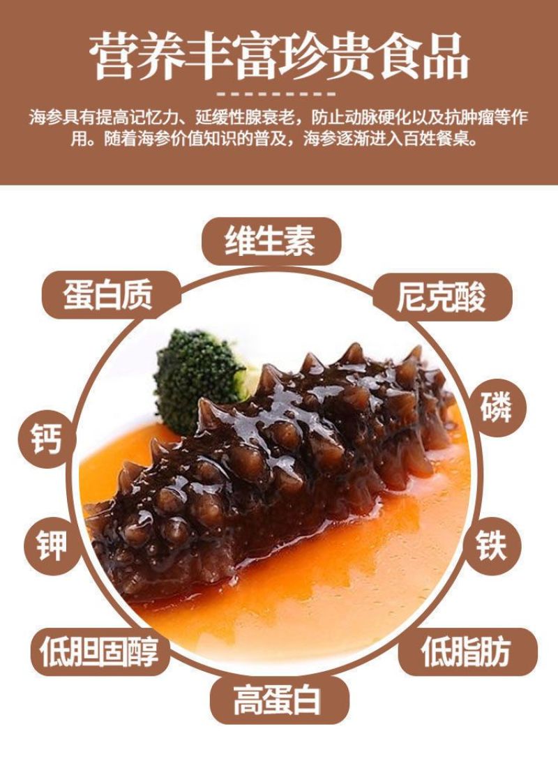 包邮）鲜食海参刺参海底海参新鲜加工单个装即食海参批发商用