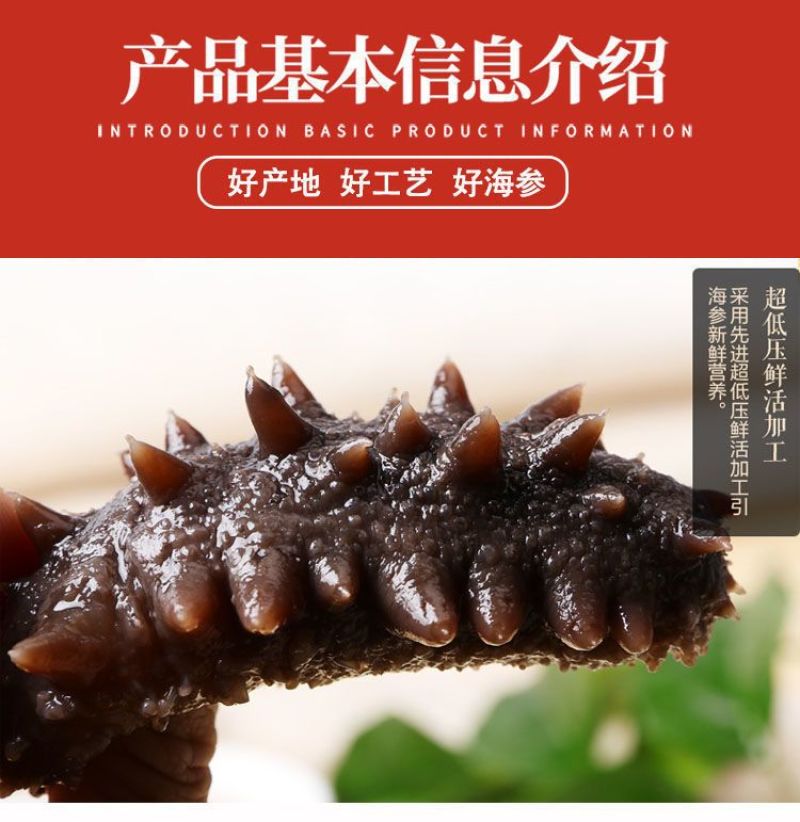 包邮）鲜食海参刺参海底海参新鲜加工单个装即食海参批发商用