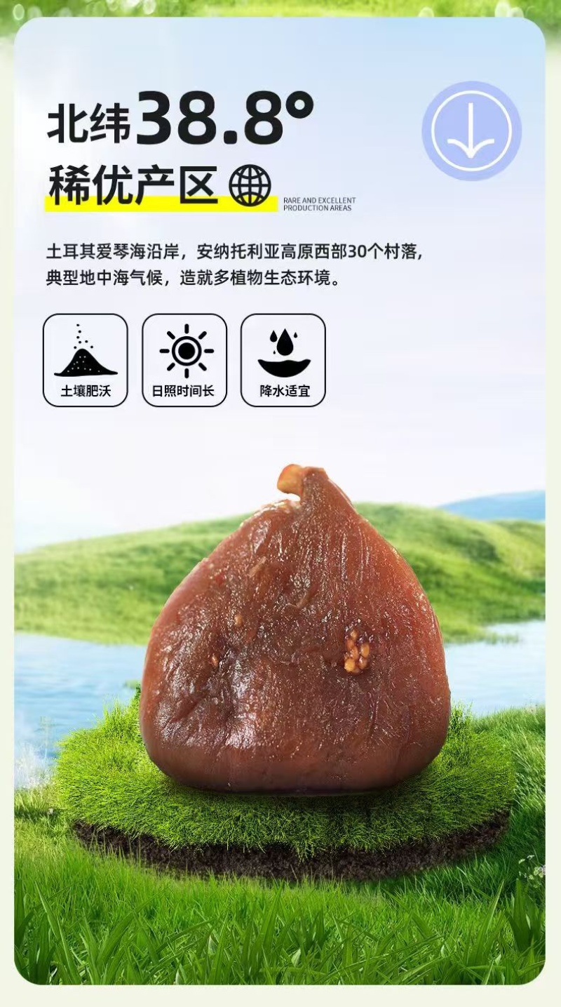 三蒸三晒无花果干独立包装一件代发批发土耳其大果