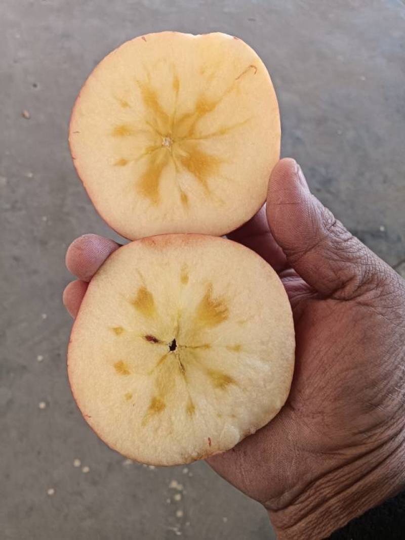 膜袋冰糖心苹果