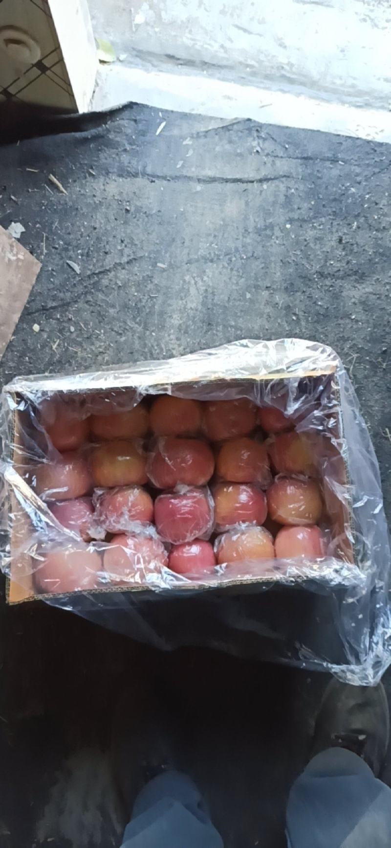山西纸加膜冰糖心红富士