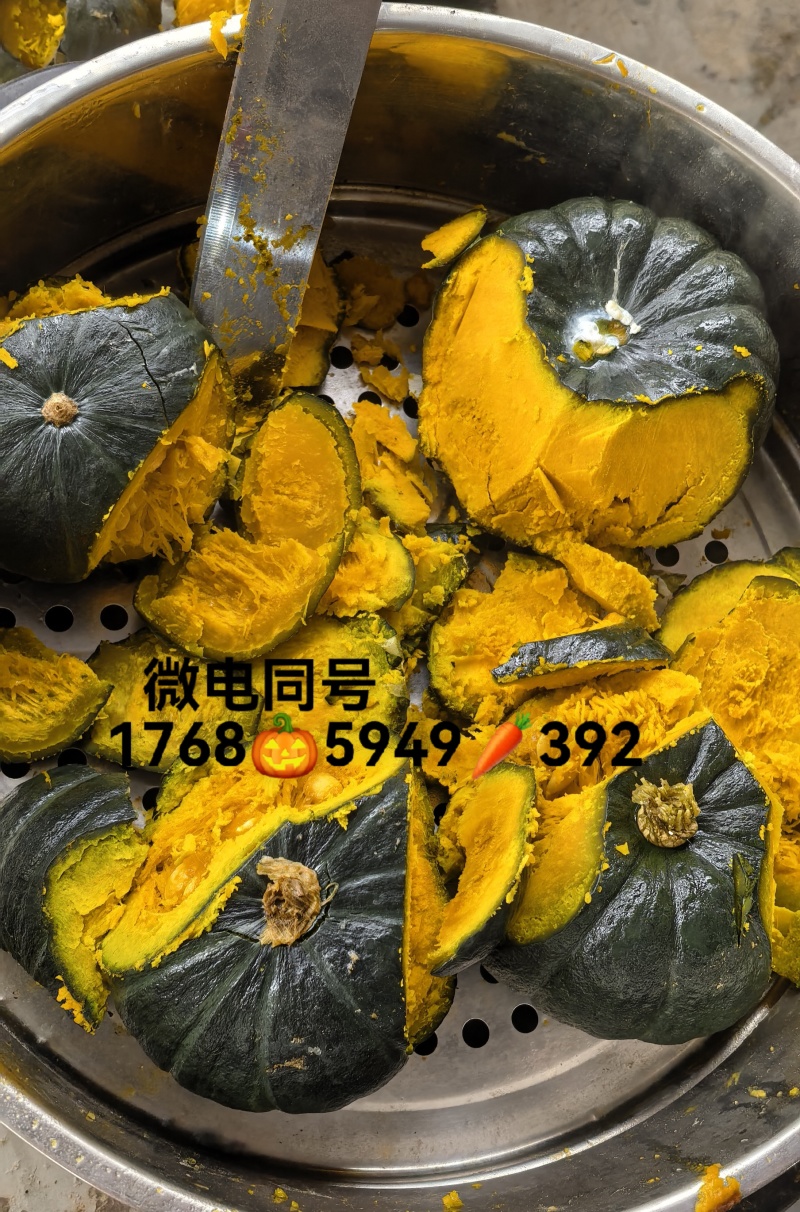 坏果包赔！贝贝南瓜新瓜产地直发山东潍坊昌乐爆粉