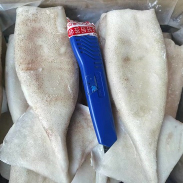鱿鱼筒