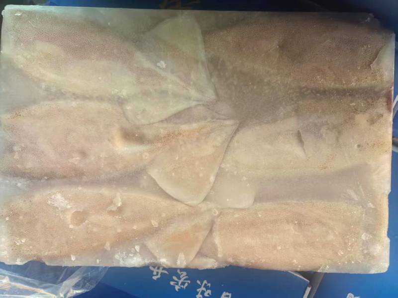 800克以上鱿鱼筒品质保证质量好量大从优欢迎来电咨询