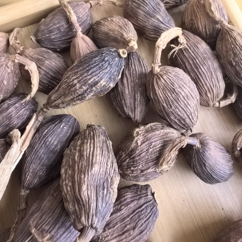 原生态草果