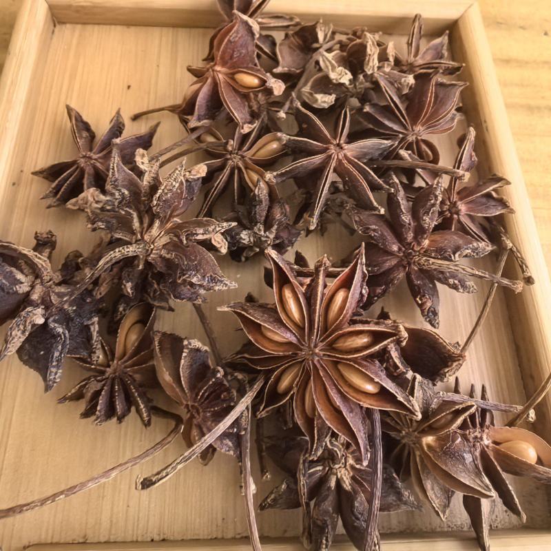 八角