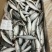精品沙丁鱼10/15A货源充足量大从优质量保证