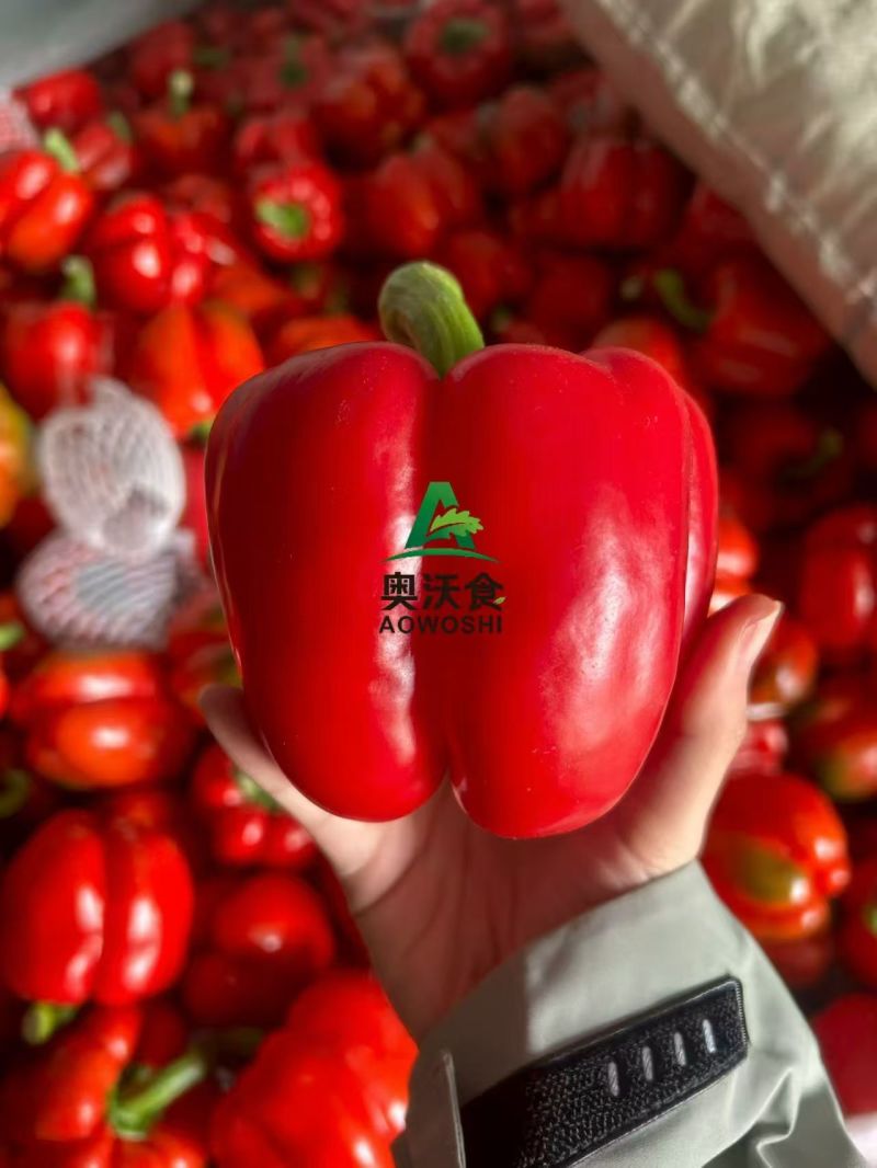 寿光彩椒