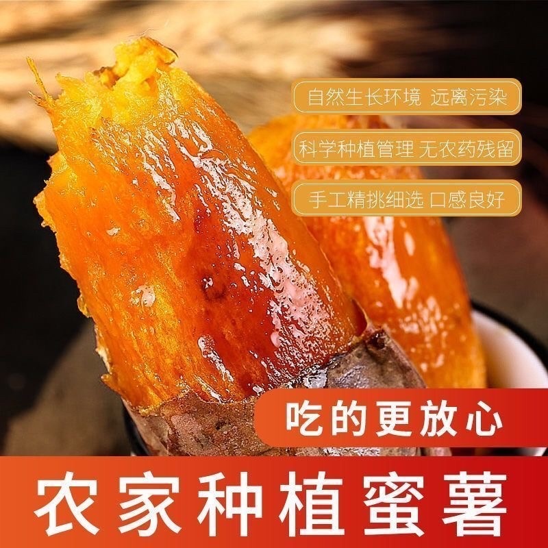 2026烟薯25软糯香甜流油批发电商烤薯店价格便宜