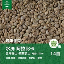 阿拉比卡豆水洗14目